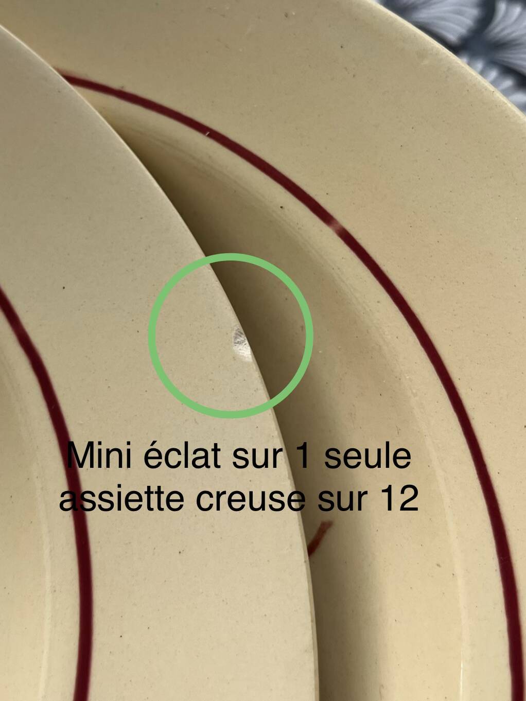 Set 12 assiettes creuses « Œillets » Badonviller