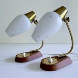 Pair of Scandinavian Lamps, Teak Glass