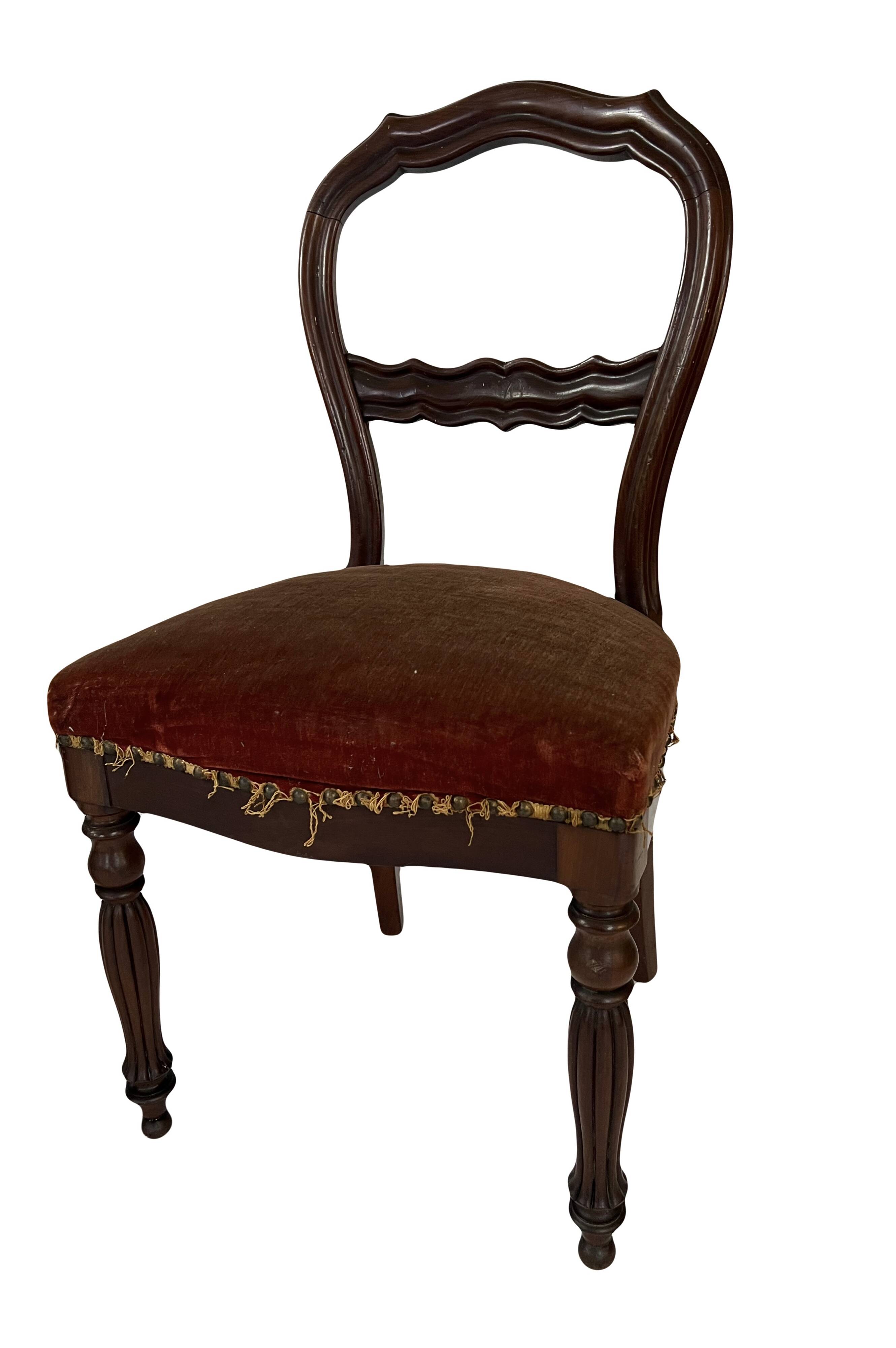 Pair of Louis Philippe period chairs in solid mahogany