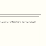 Set of 2 framed chimera lithography animal engraving