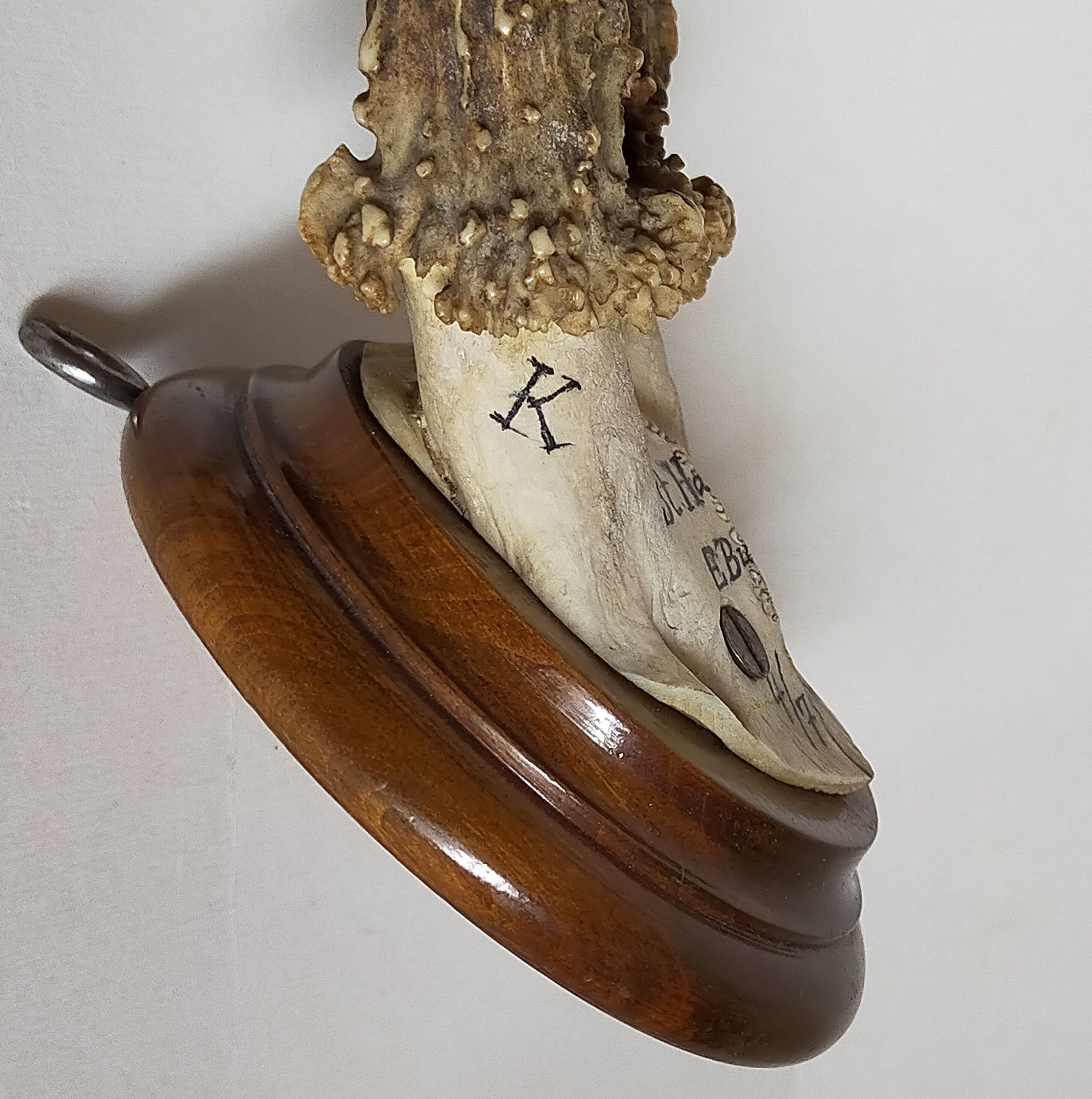Scandinavian hunting trophy old 30 years