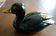 Vintage black and gold decorative duck