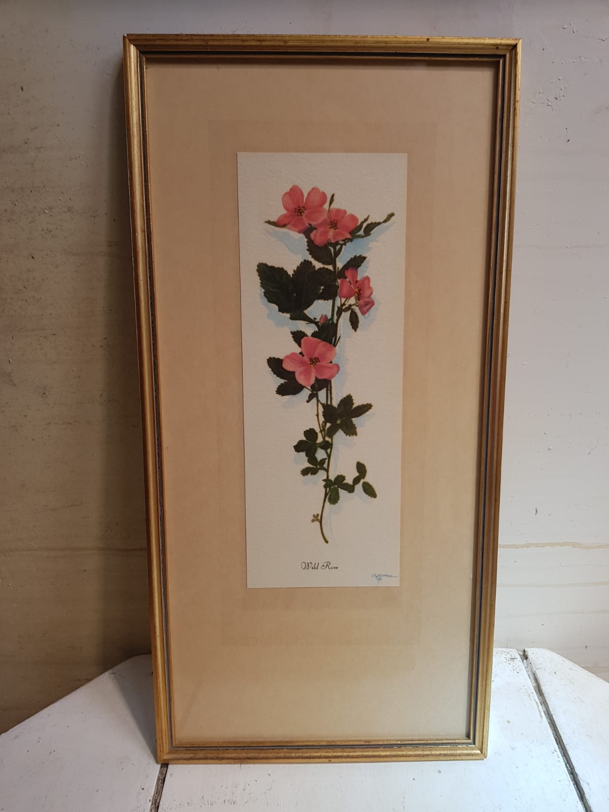 Series 4 Old Botanical Boards Flowers GRANDALL + Frame Gilded Wood Vintage