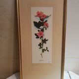 Série 4 Anciennes Planches Botaniques Fleurs GRANDALL + Cadre Bois Doré Vintage
