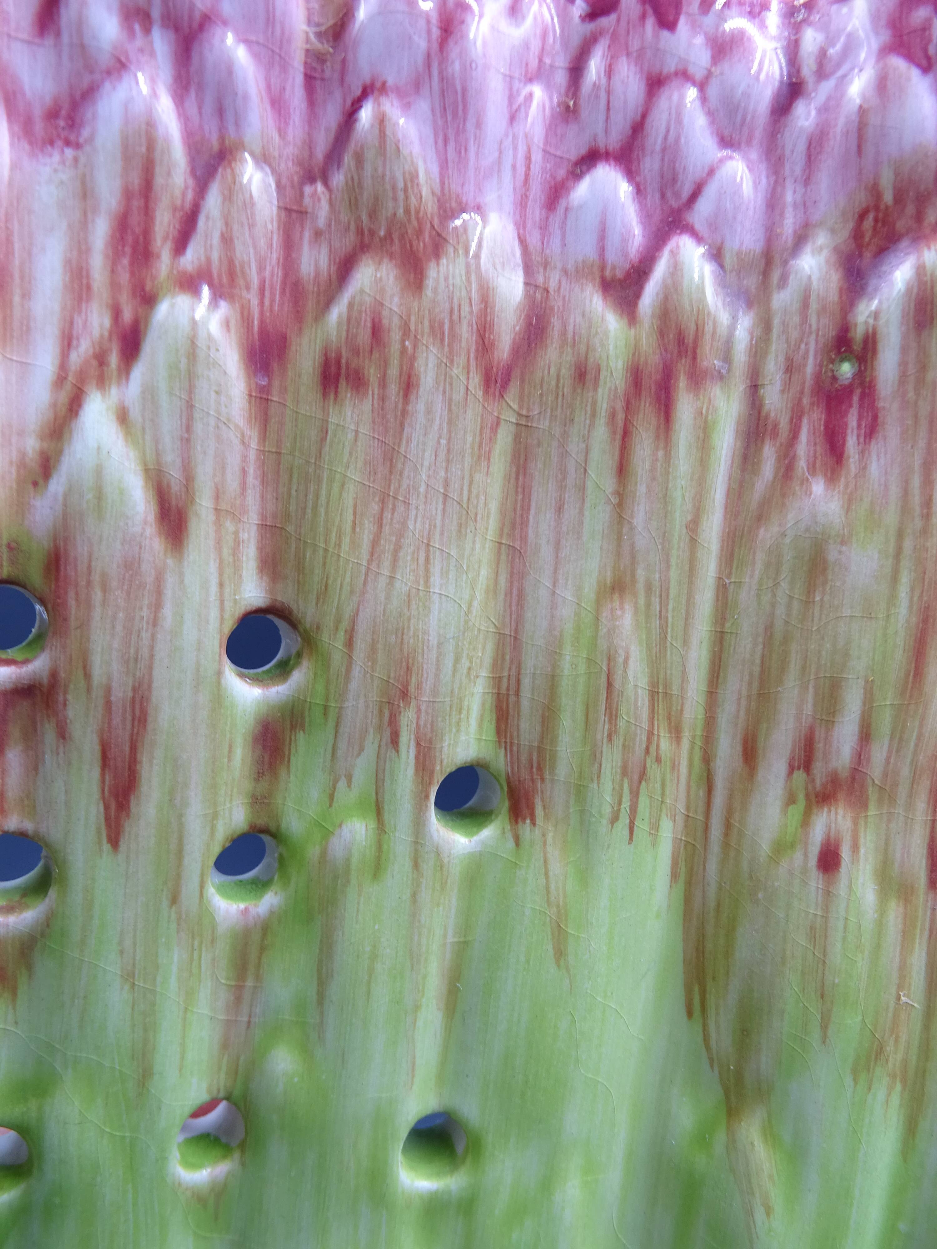 Asparagus dish in bubble