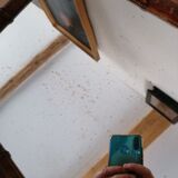 Old mirror 19th imitation bamboo