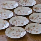 Antique Limoges porcelain plates by Charles Haviland, bird decoration