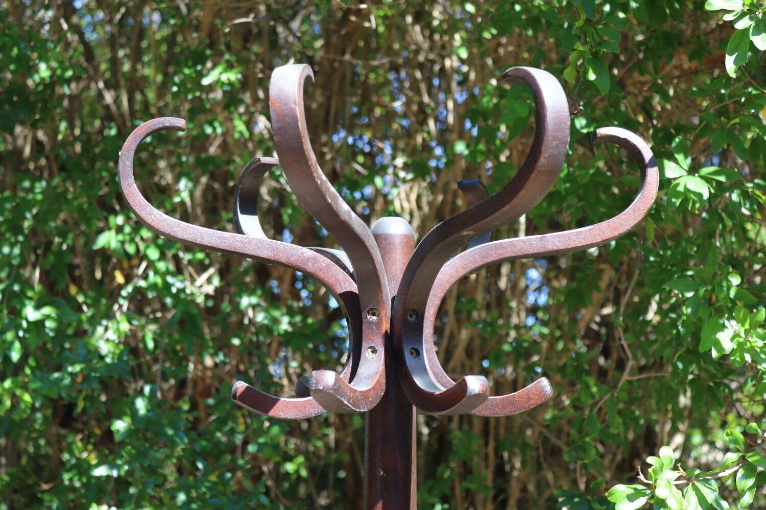 Antique parrot coat rack