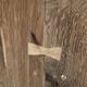 Oak chest of drawers from the early 20th century.