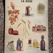 Educational poster La Bière - Musée scolaire Les fils d'Émile Deyrolle