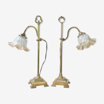 Pair of Desk Lamps "Rise and Fall" Gooseneck Art Deco style