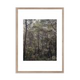 Island Mljet, Adriatic Sea 02