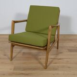 Model 300-139 Armchairs from Swarzędz Factory, 1960s, Set of 2