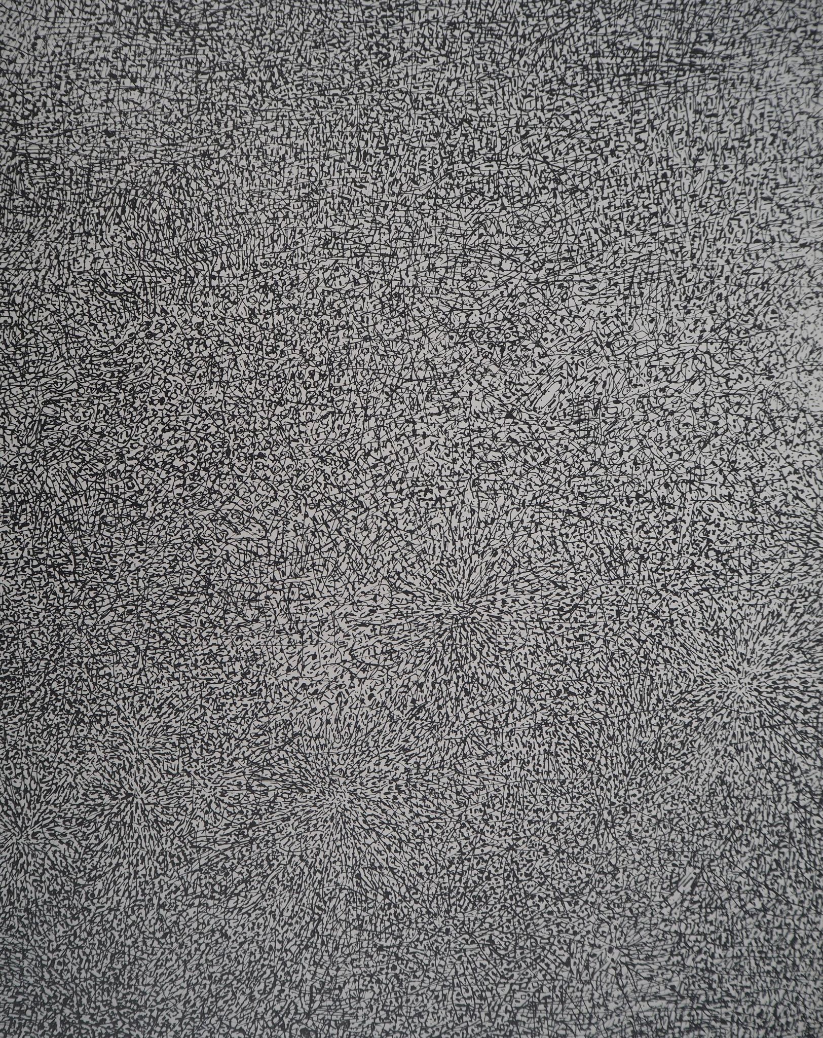 jean dubuffet : prairie de barbe - lithographie originale