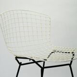 Bertoia dise chair