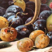 Still life with fruit, framed chromolithograph, under glass