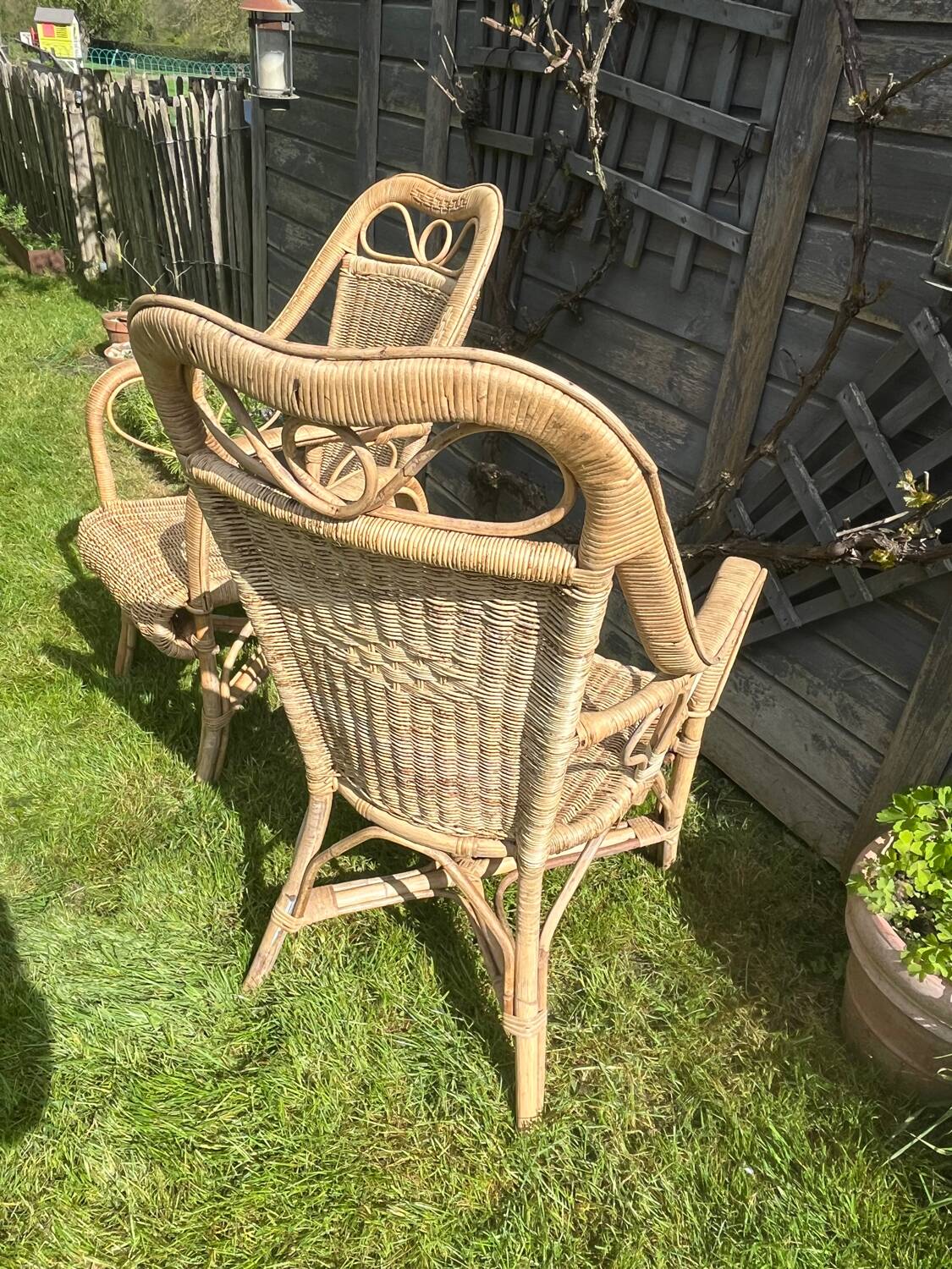 Rattan armchair duo
