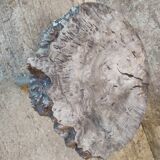 Brutalist coffee table
