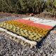 Handmade Berber rug 200cmx300cm