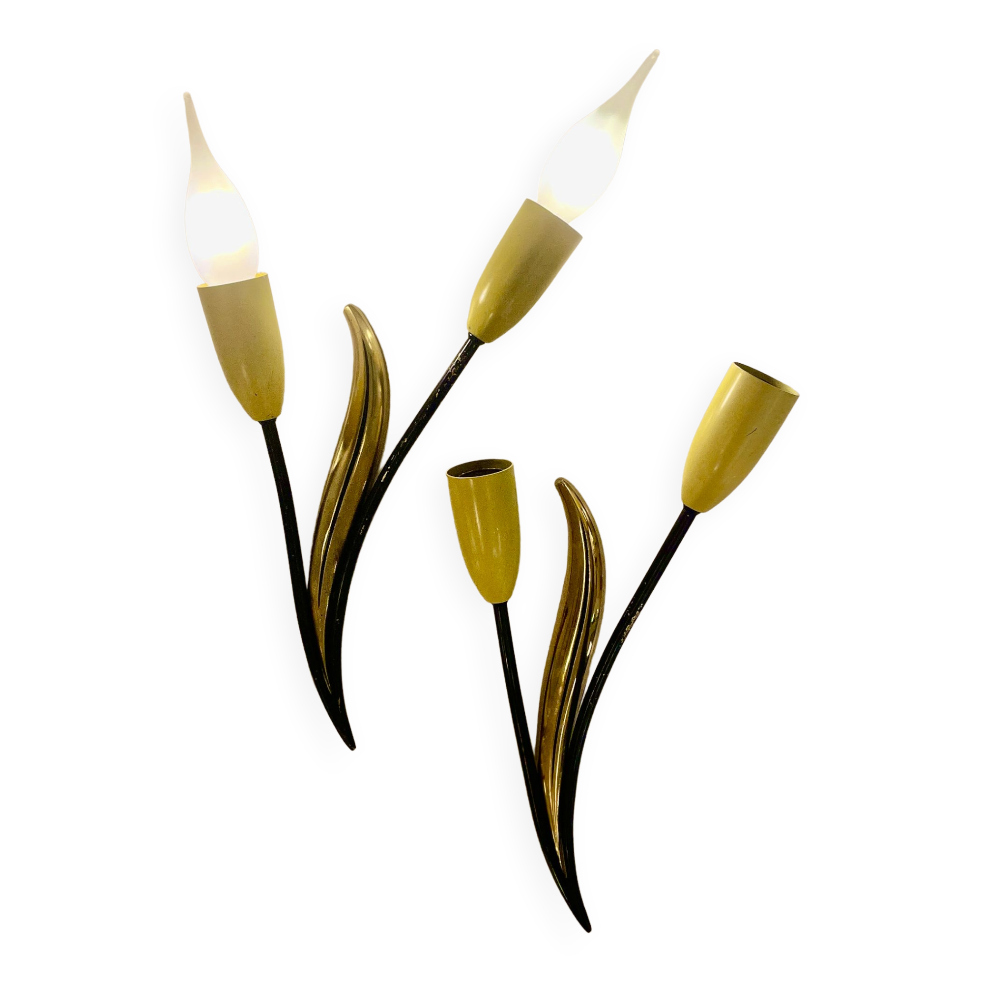 Mid-Century Floral Wall Lamps from 1950'