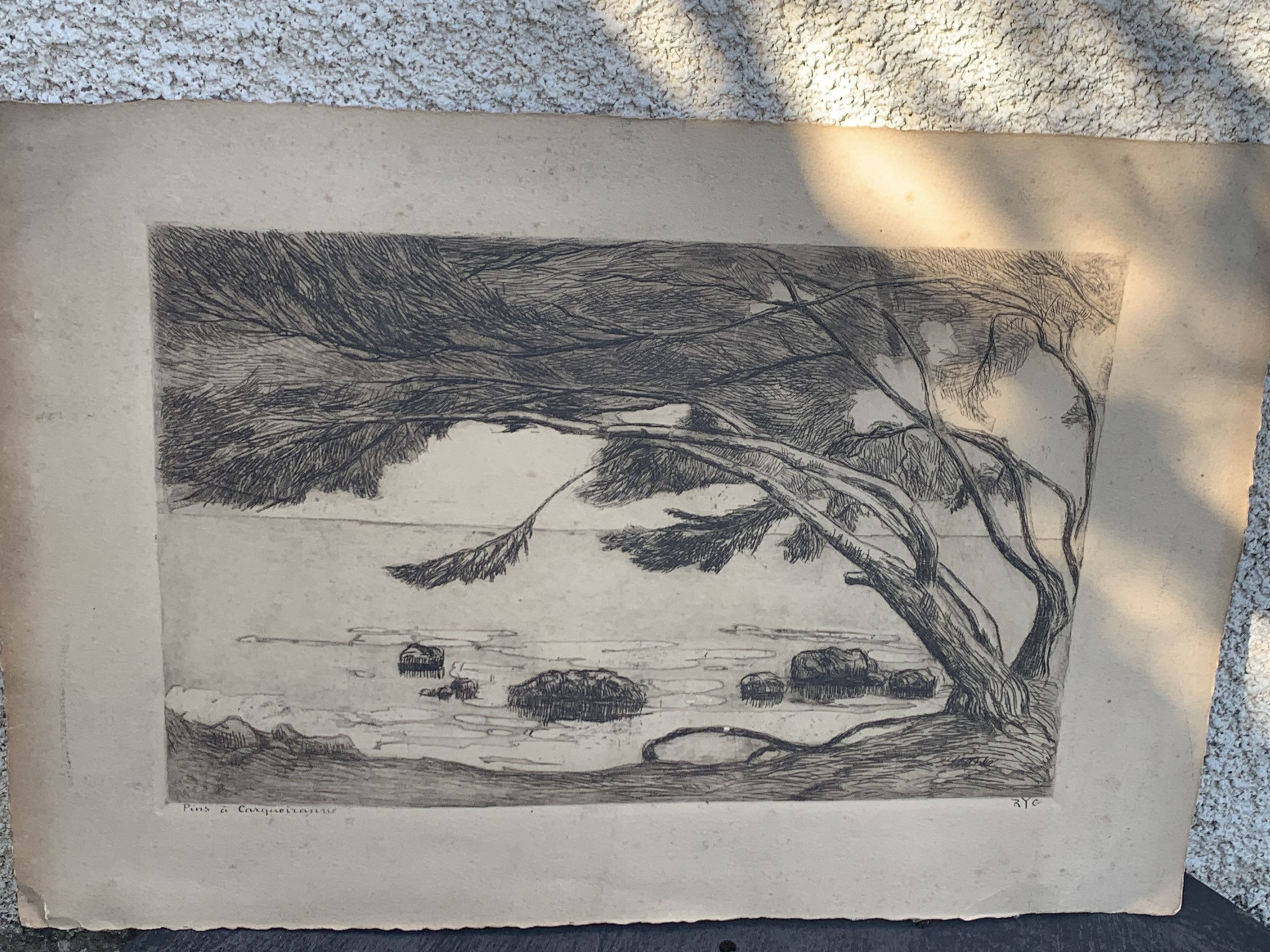 Charcoal drawing and ink the pines Carqueiranne sign Ryg