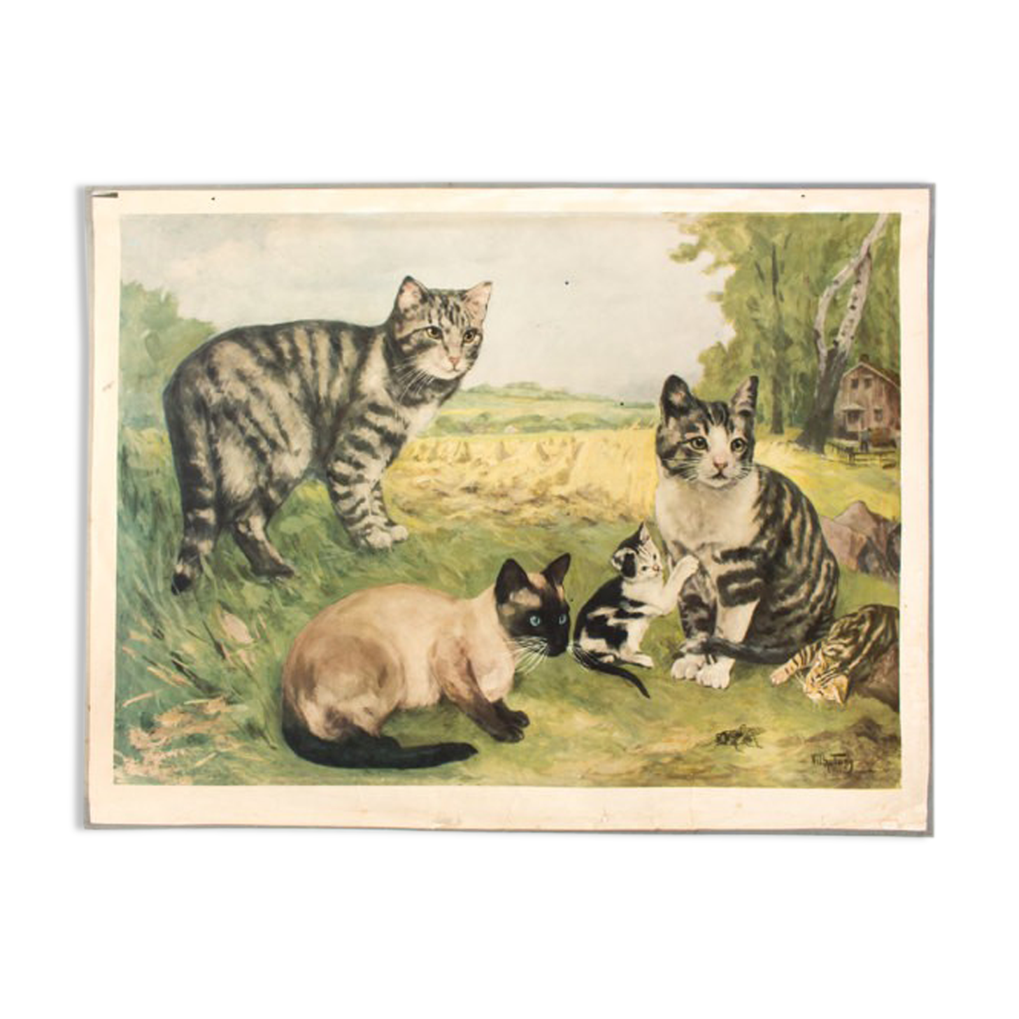Graphic wall poster "cats" lithography by V. Tupy 1922