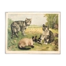 Affiche murale graphique "chats" lithographie par V. Tupy 1922