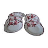 Lot 8 flat plates gien tulip model