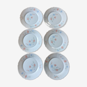 Lot 6 assiettes plates motif pois de senteur Arcopal