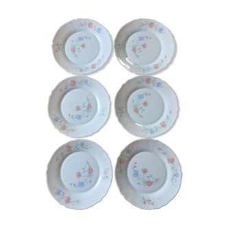 Arcopal set of 6 flat plates scented pea pattern