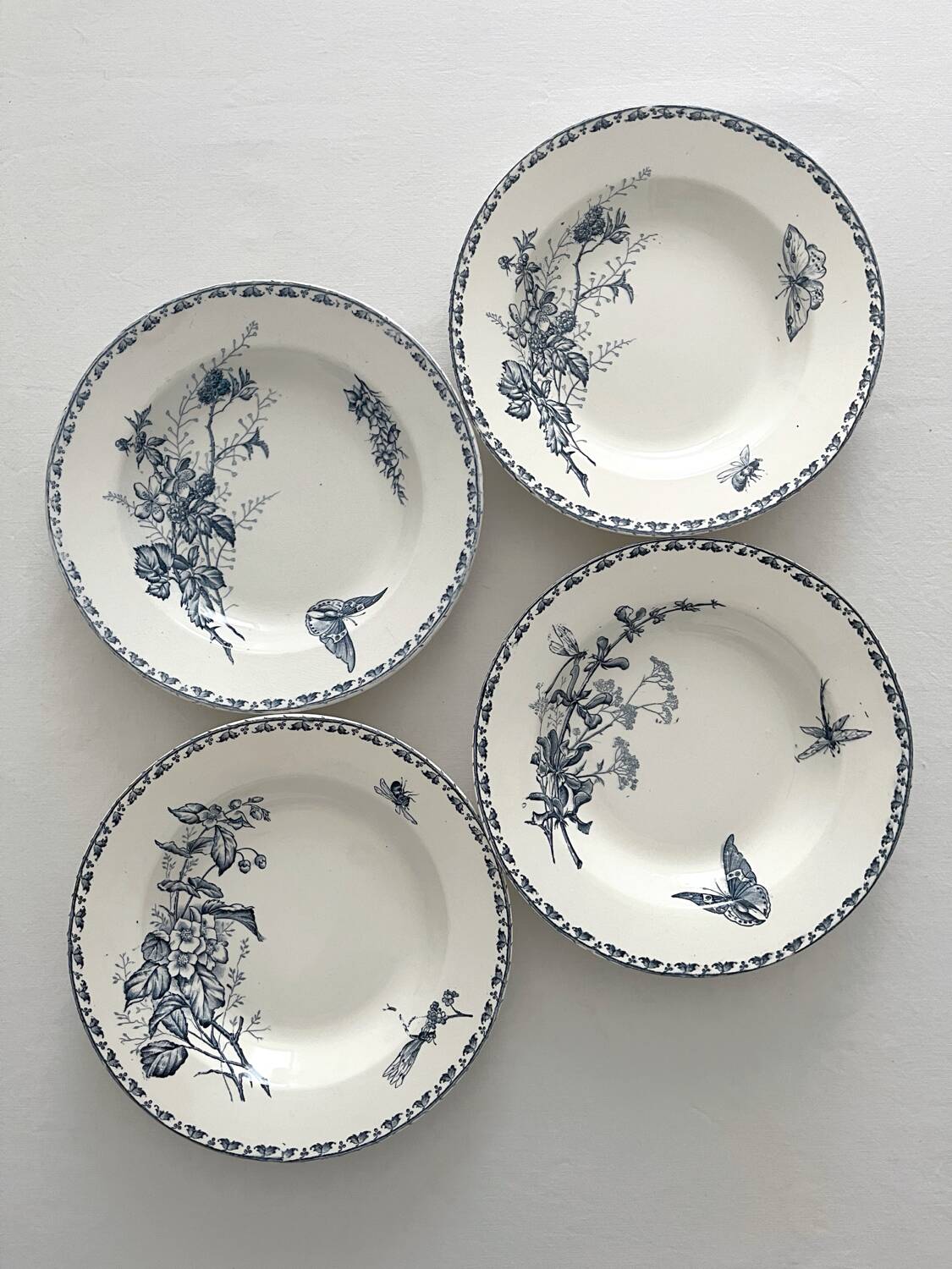 4 deep plates ironstone butterflies "Carmen" Sarreguemines