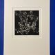 Mario avati (1921-2009), papillons, manière noire, 1970