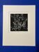 Mario avati (1921-2009), papillons, manière noire, 1970