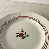 Large antique plate Sarreguemines model Armelle - hand-painted