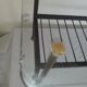 60's design metal and glass coffee table