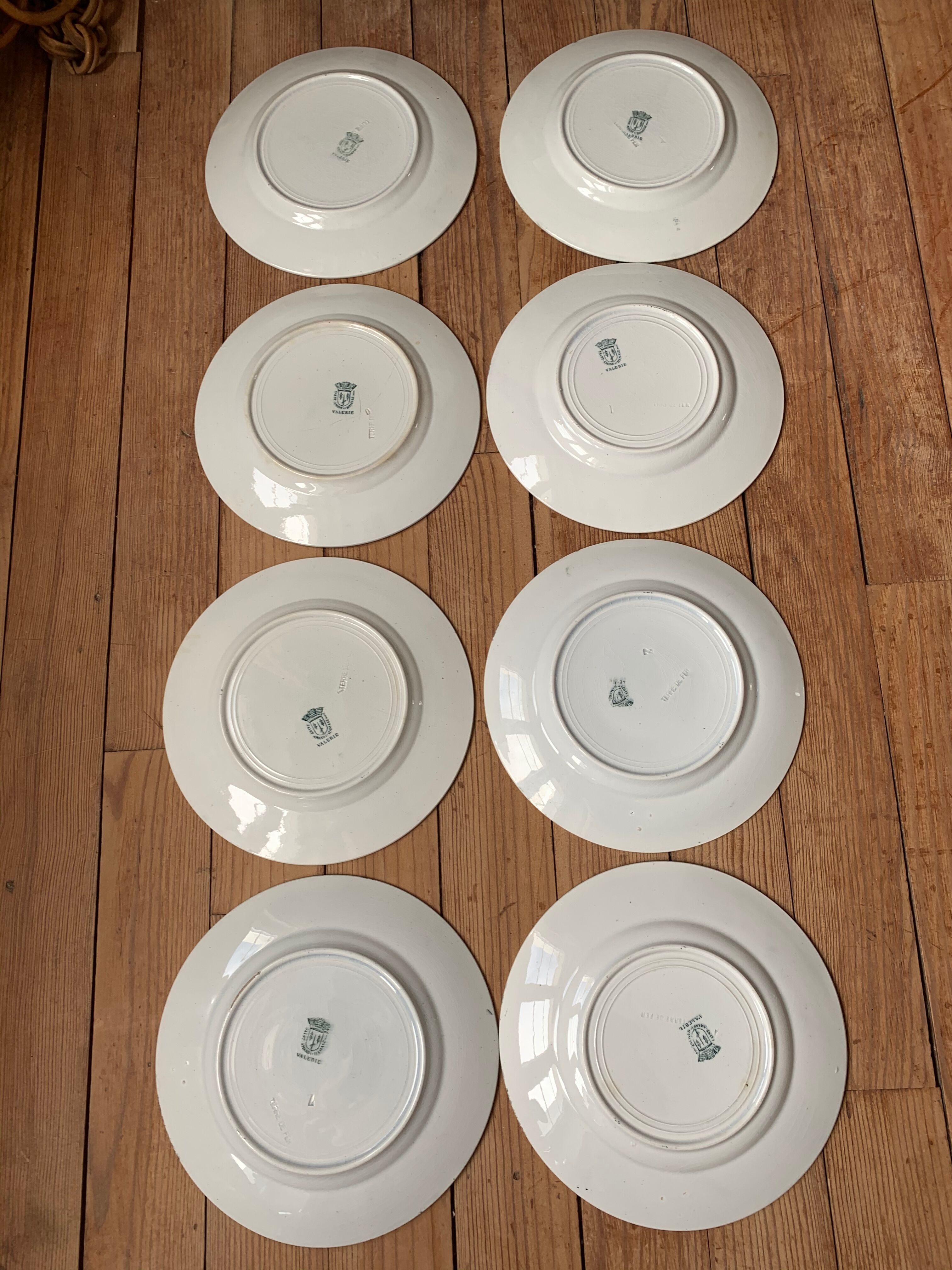 Lot of 8 plates St Amand and Hamage