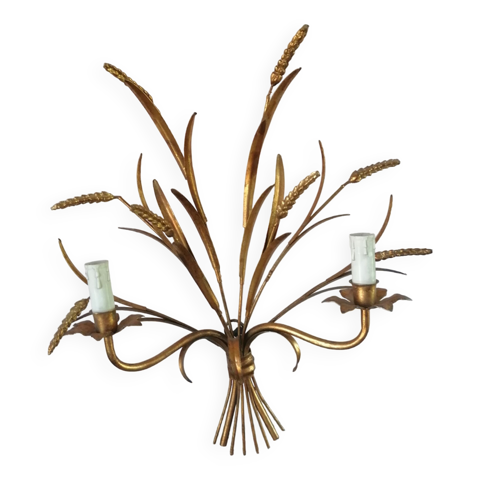 Applies in ears of ble