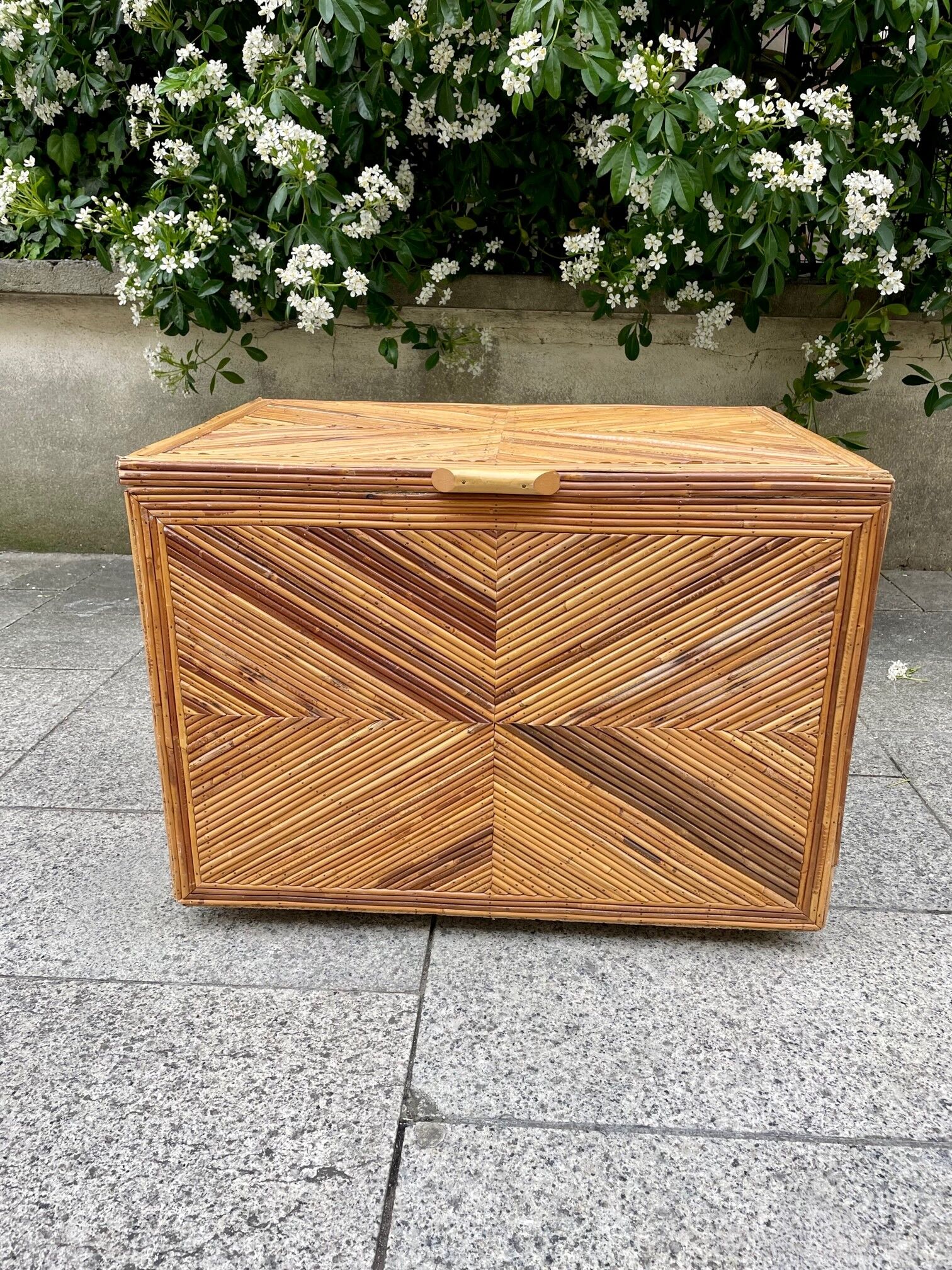 Vintage rattan chest