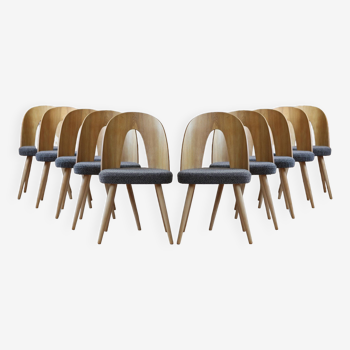 Set of 10Dining Chairs by A.Šuman
