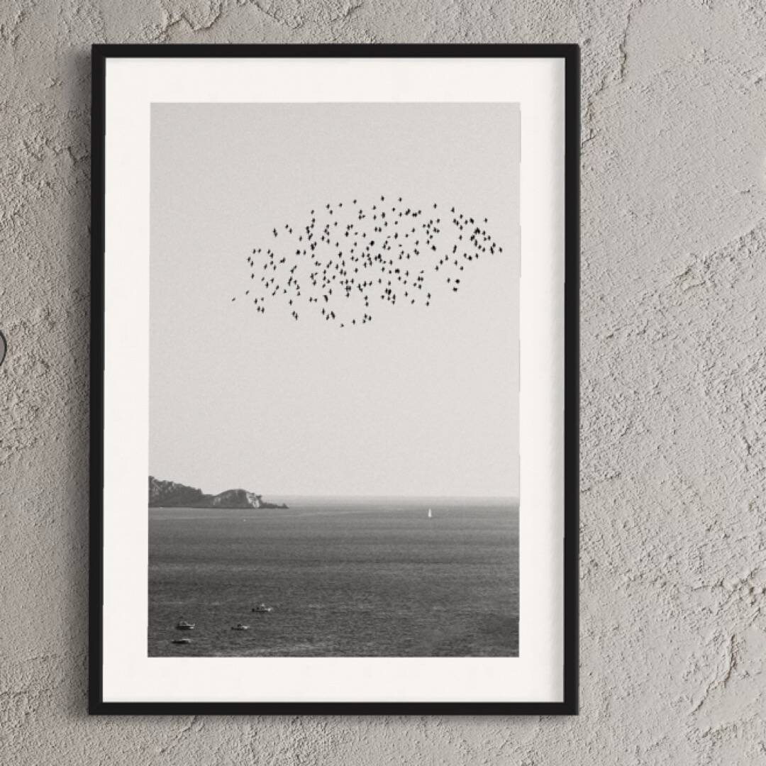 The Flight - Marseille