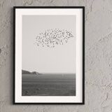 The Flight - Marseille