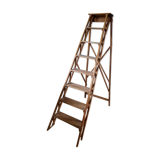 Old beech ladder
