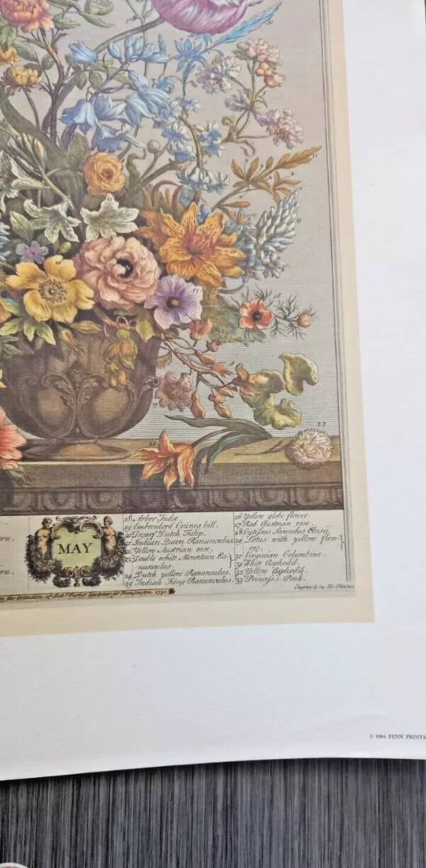 Lot of 19th century Floral Engravings - Vintage Art Print Flowers - 12 months - Robert Furber