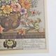 Lot of 19th century Floral Engravings - Vintage Art Print Flowers - 12 months - Robert Furber