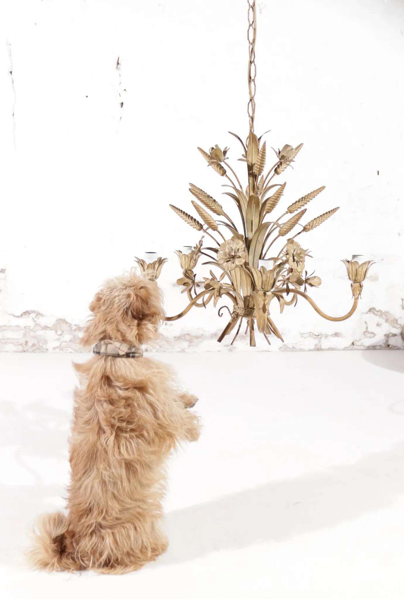 Sheaf of wheat chandelier beige Hans Kögl – Maison Charles style