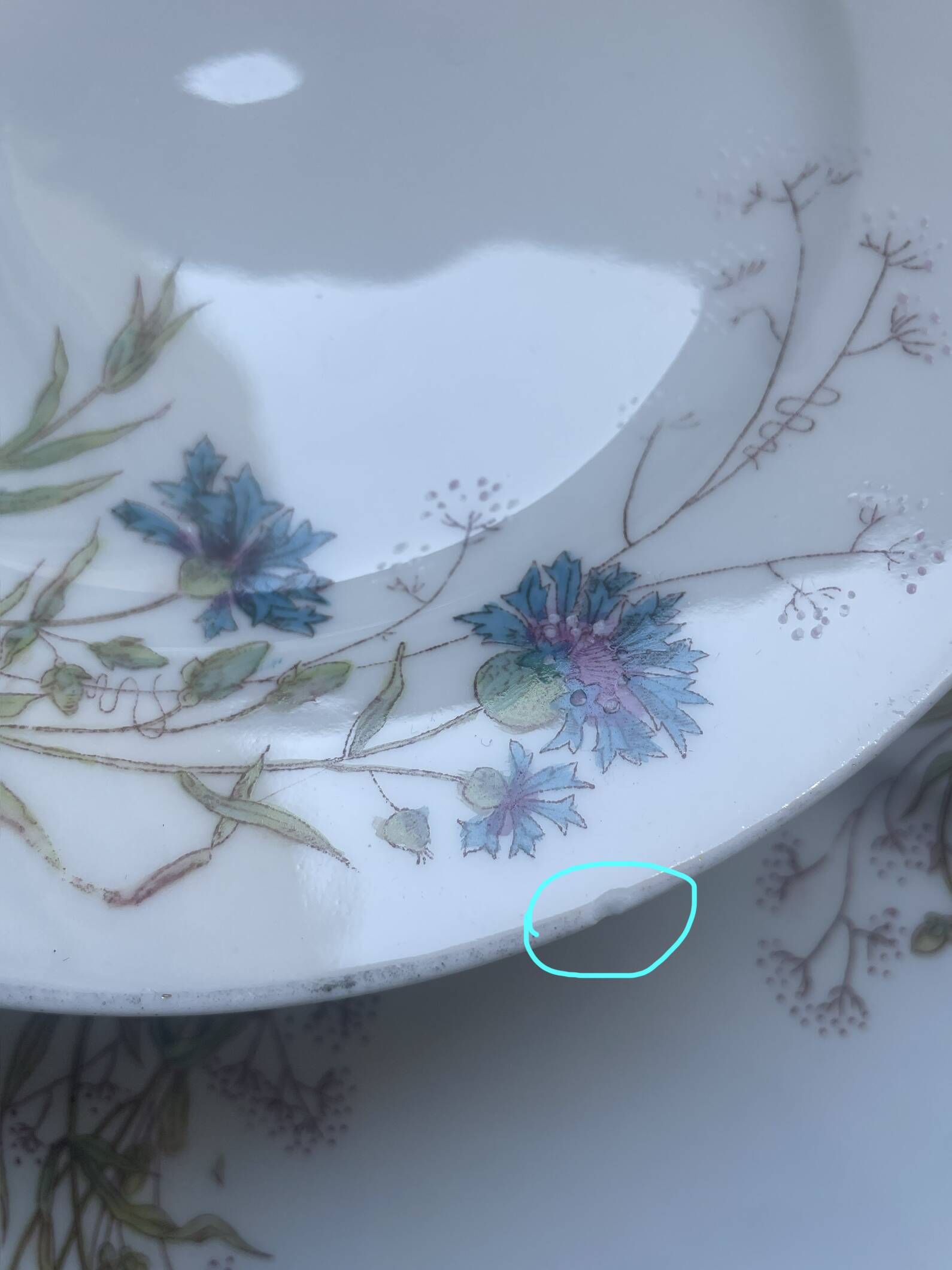 8 vintage plates with romantic chic country cornflower decoration.