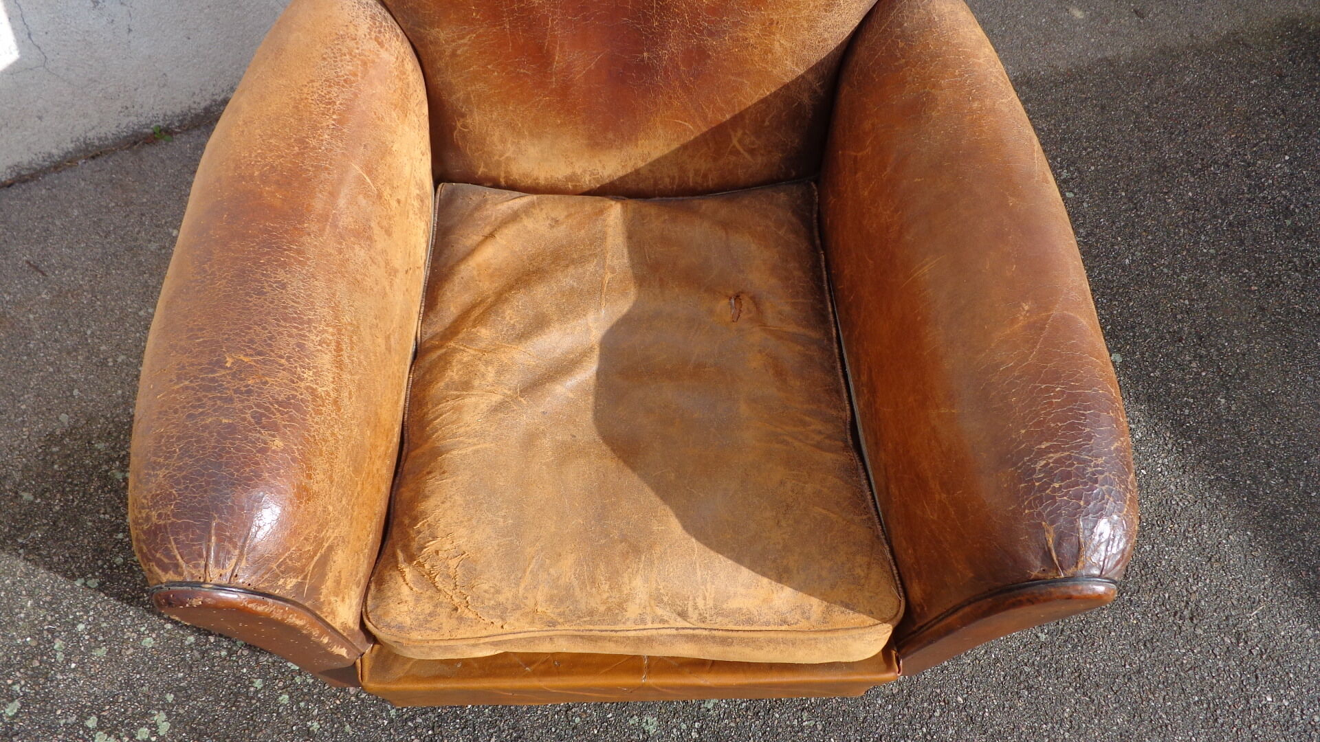 Mustache leather club chair