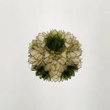 Capiz Shell Pendant Lamp