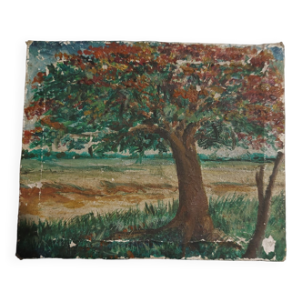 Oil painting on canvas miniature Eumelio Calzada Valverdi Cuba