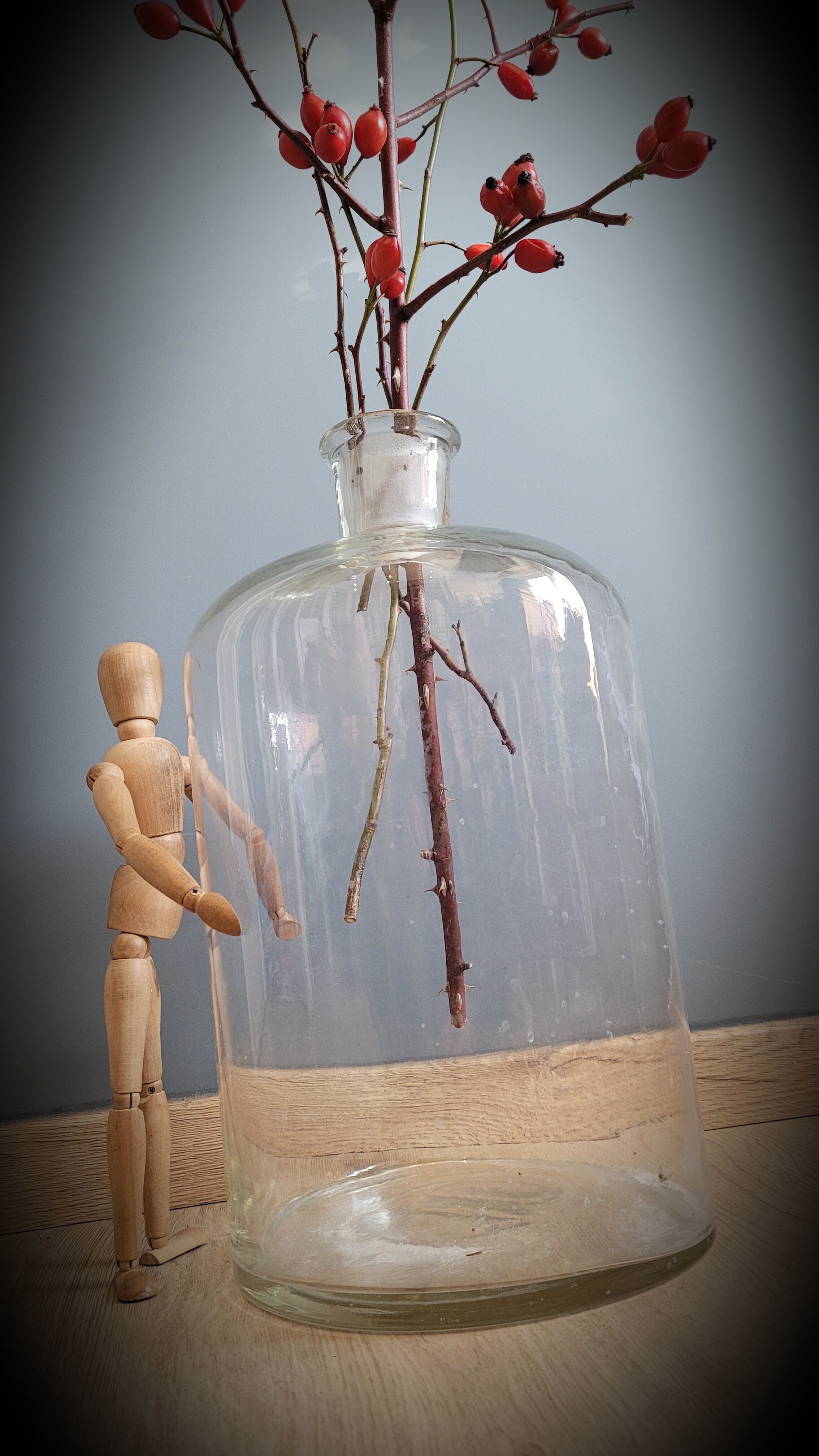 Transparent 10L apothecary bottle